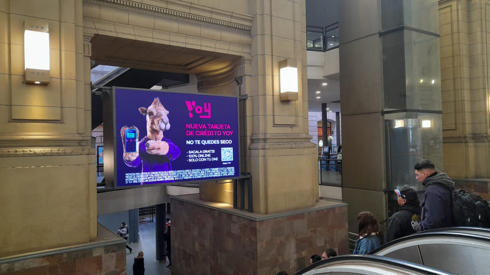 Pantalla Digital - Constitución